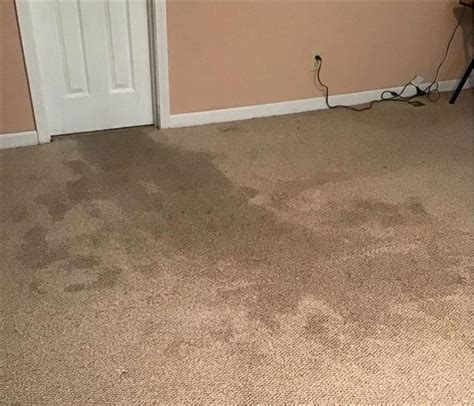 Will State Farm Cover Water Damage